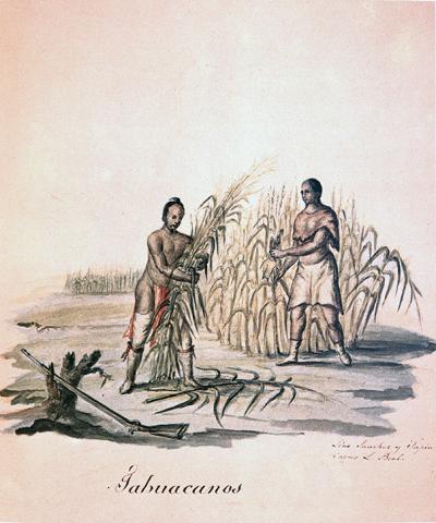 Tawakoni (Wichita) Indians