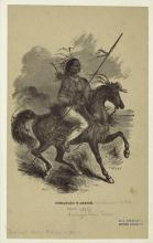 Comanche Indian