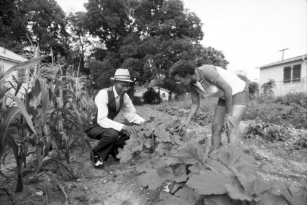 Calvin Littlejohn and Peggy Jean Clark at the Near Southeast Citizens Committee Community Garden
