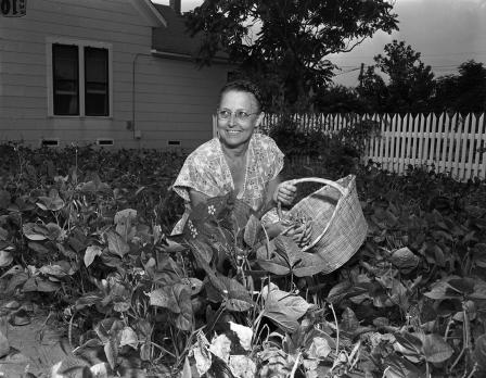 Mrs. Ada Bilbrey gardening at home
