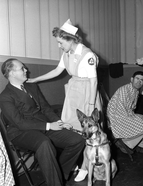 nurse's aide interviews man accompanied by his seeing-eye dog