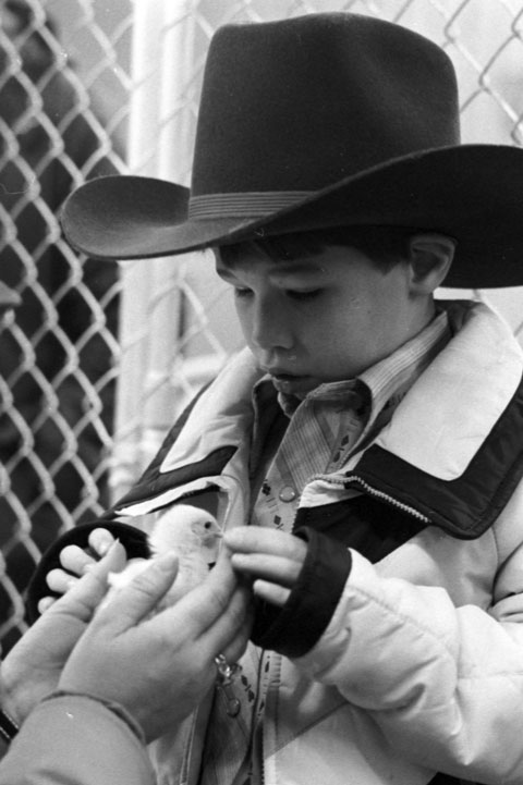 A boy is petting a chick