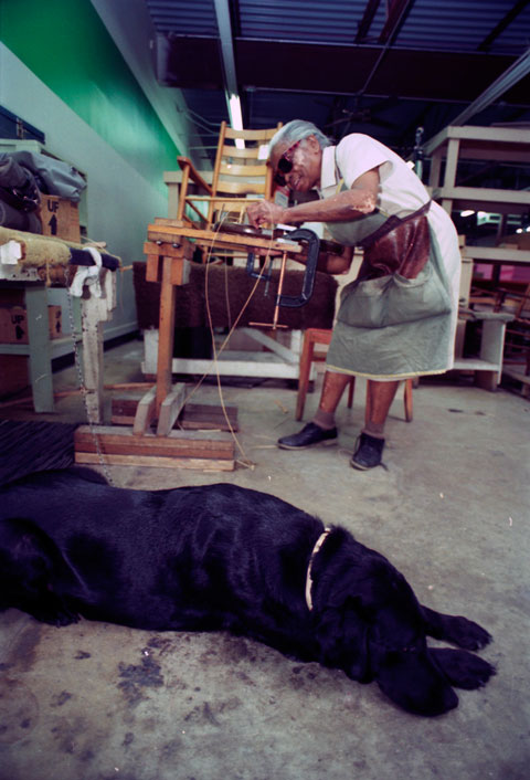 woman caning a chair with her service dog nearby