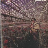 Rudolph Hermanns in a greenhouse on the cover of the June 1985 UTA Magazine