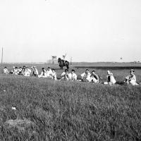 prison convicts in a field