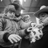 Visually impaired children get to pet a rabbit at the Stock Show in Fort Worth