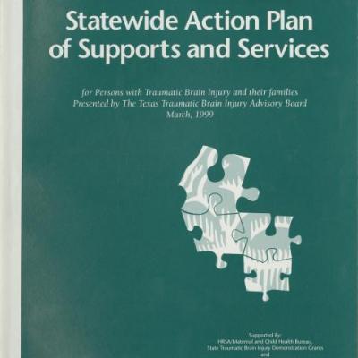 Statewide action plan of supports and services for persons with traumatic brain injuries and their families  