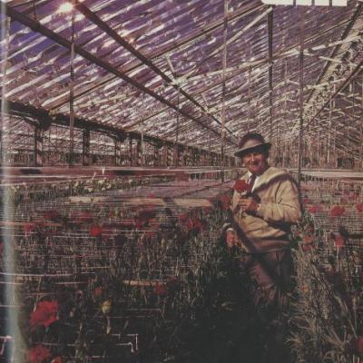 Rudolph Hermanns in a greenhouse on the cover of the June 1985 UTA Magazine