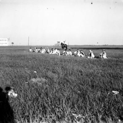 prison convicts in a field