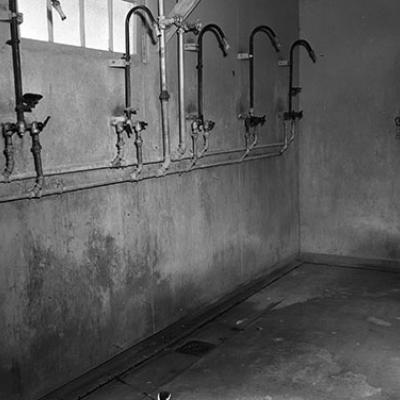 Dilapidated showers at unidentified mental hospital