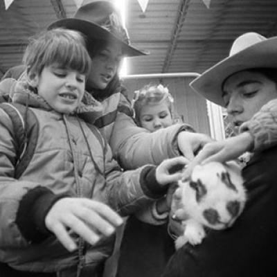 Visually impaired children get to pet a rabbit at the Stock Show in Fort Worth
